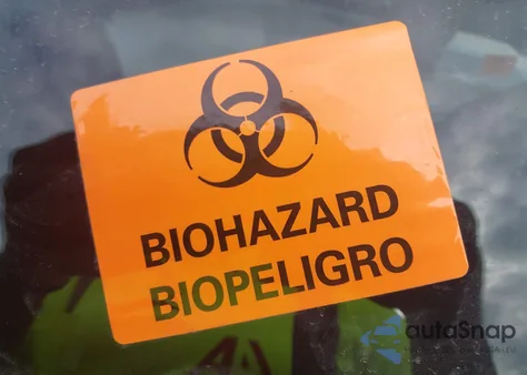 2024 Nissan Altima Sv Fwd из США, поврежденный, VIN 1N4BL4DV7RN331905